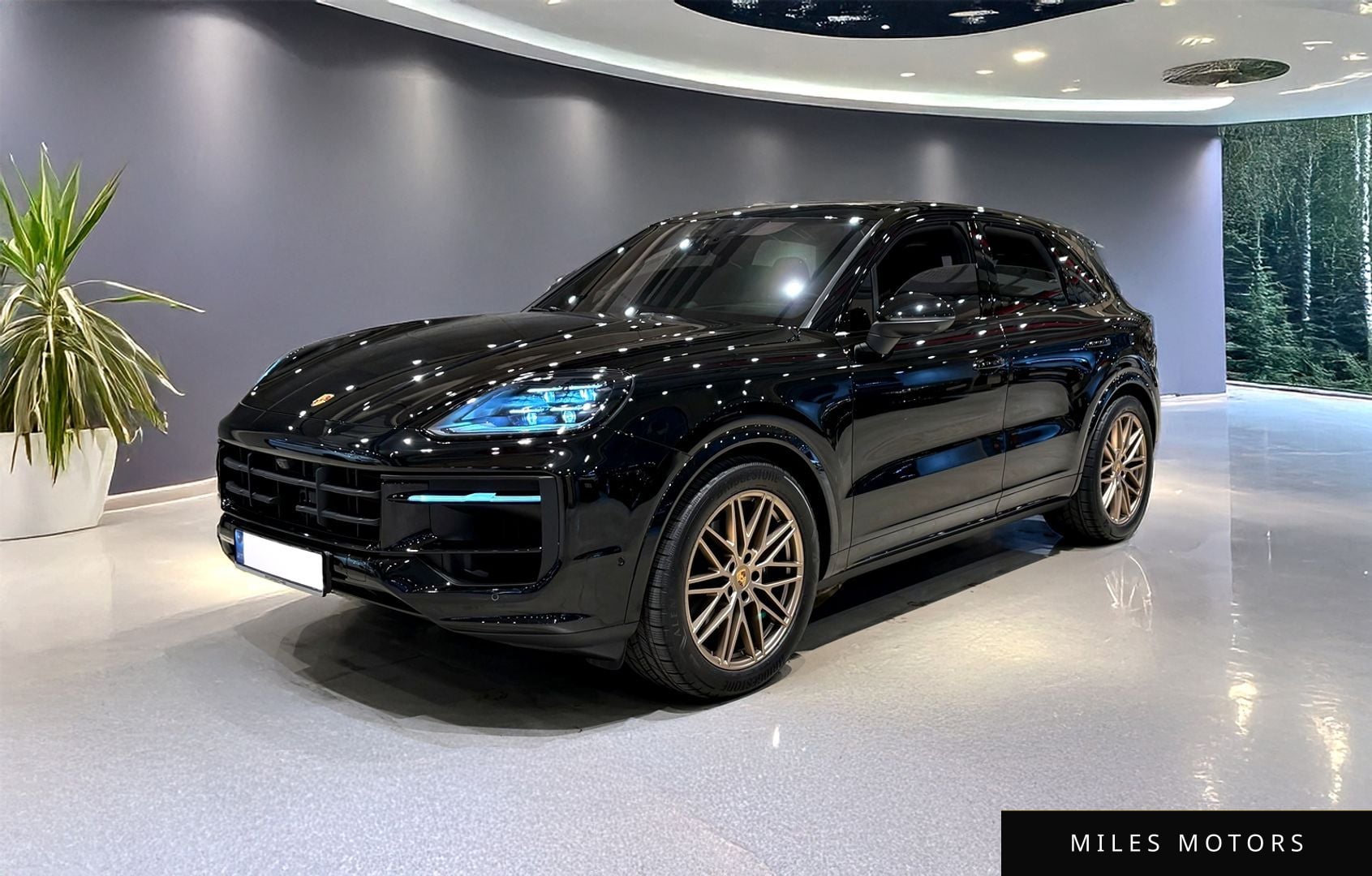 Porsche Cayenne 2024 — фото 1 из 12