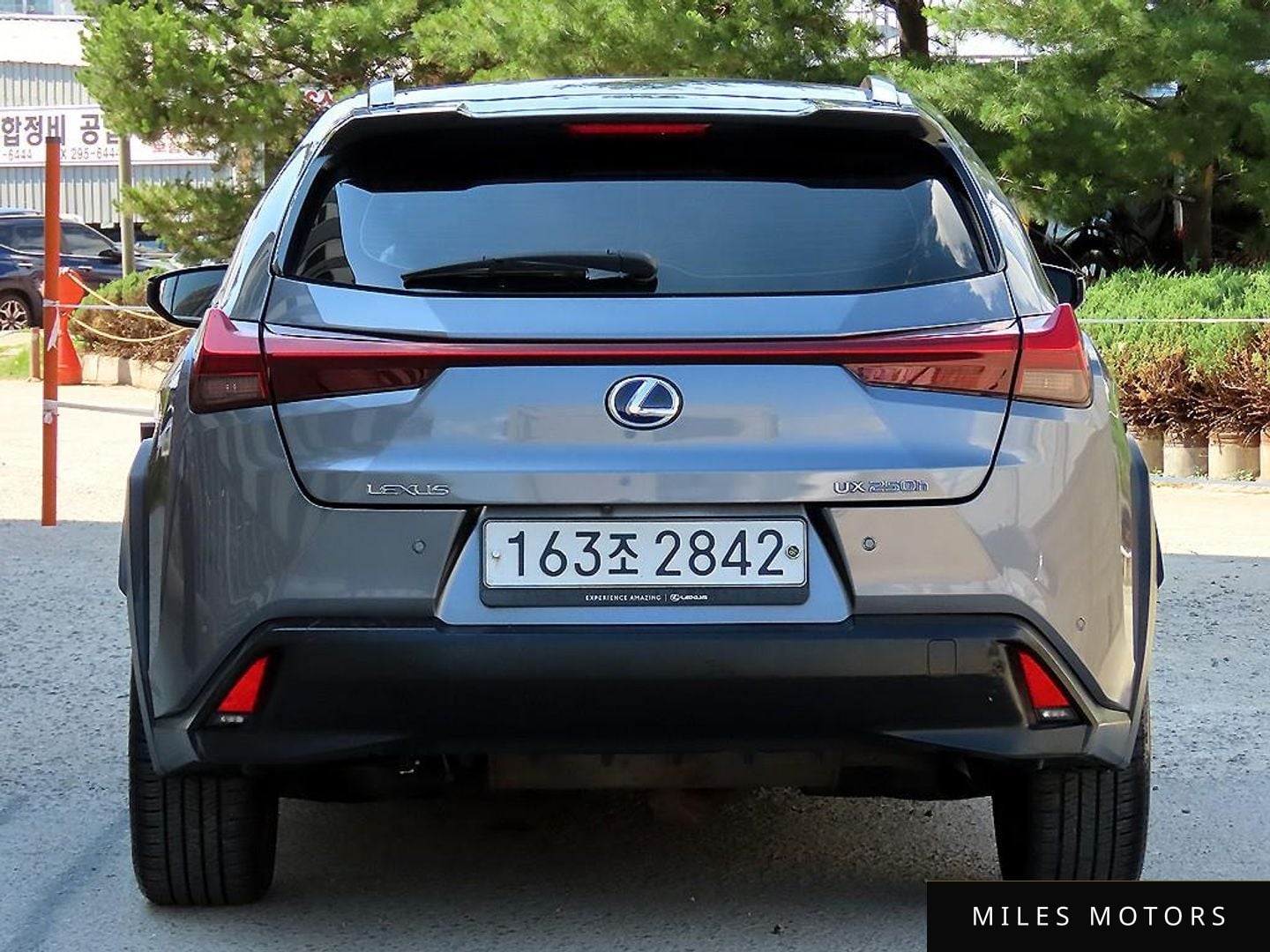 Лексус UX250h 2019 — миниатюра 4