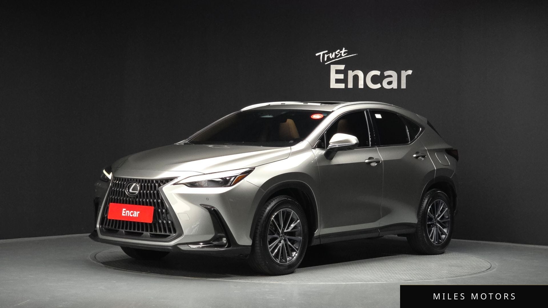 Лексус NX450h+ 2024 — фото 1 из 12