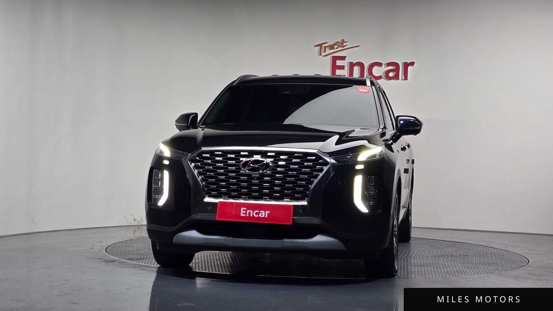 Hyundai Palisade 2019 — миниатюра 3