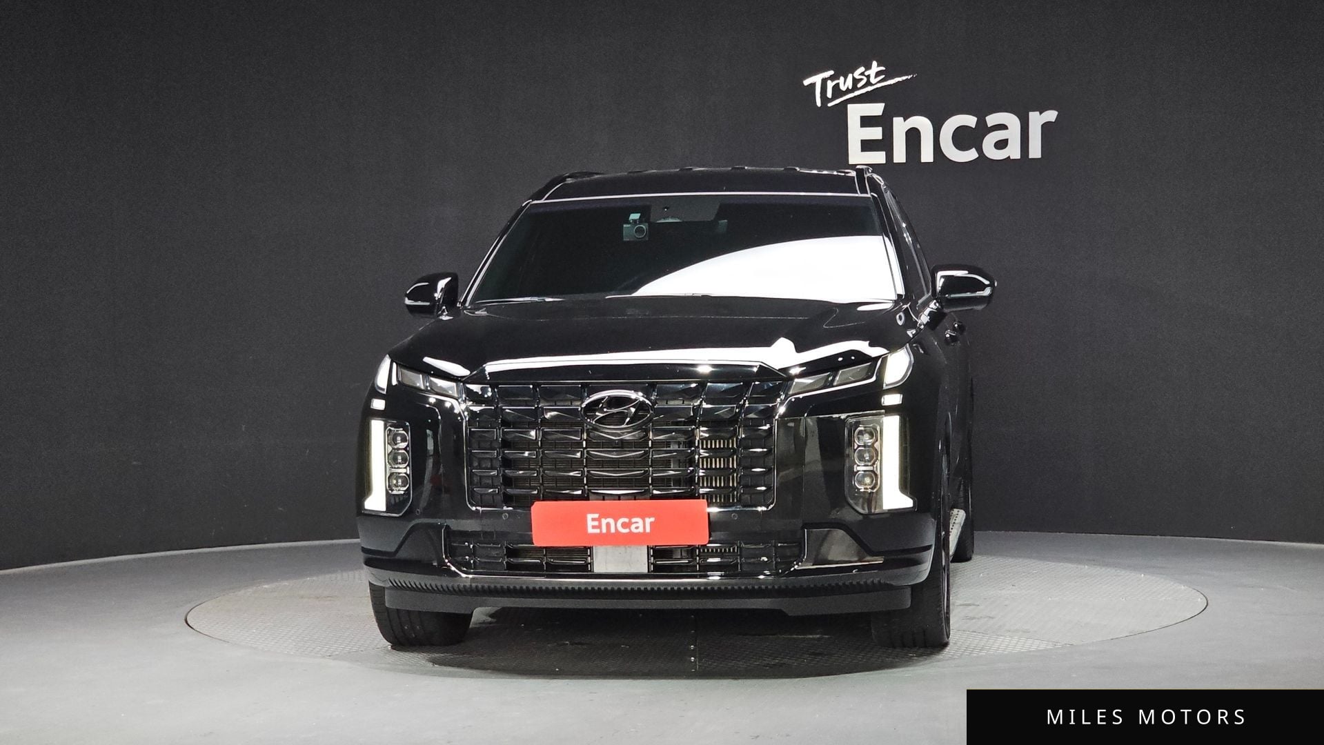 Hyundai Palisade 2024 — миниатюра 3