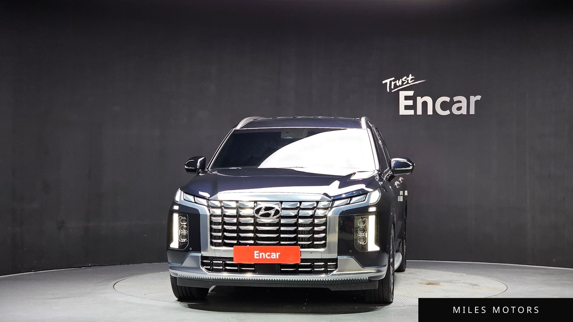 Hyundai Palisade 2024 — миниатюра 3