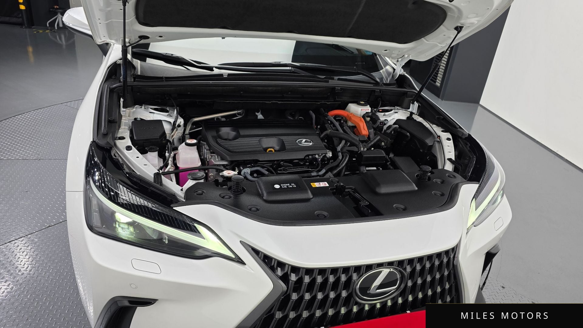 Лексус NX350h 2024 — миниатюра 6