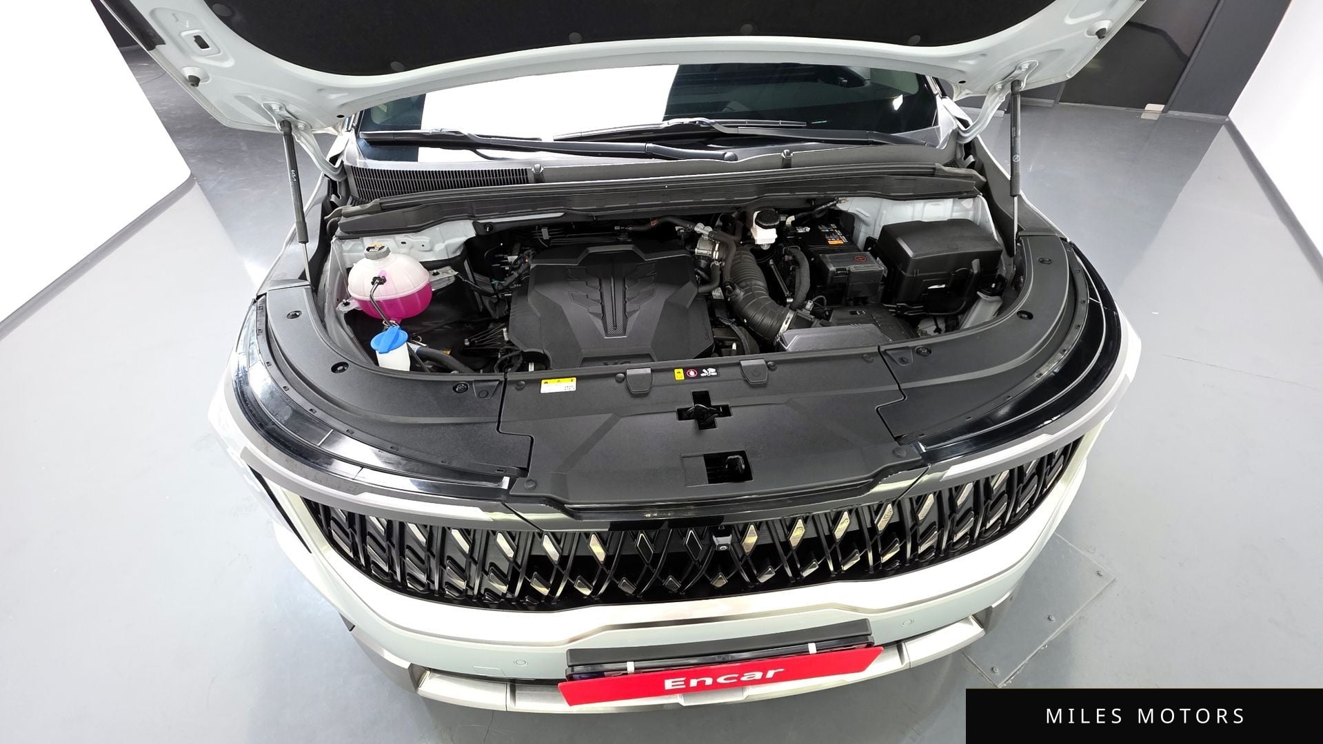 Kia Canival 2024 — миниатюра 6