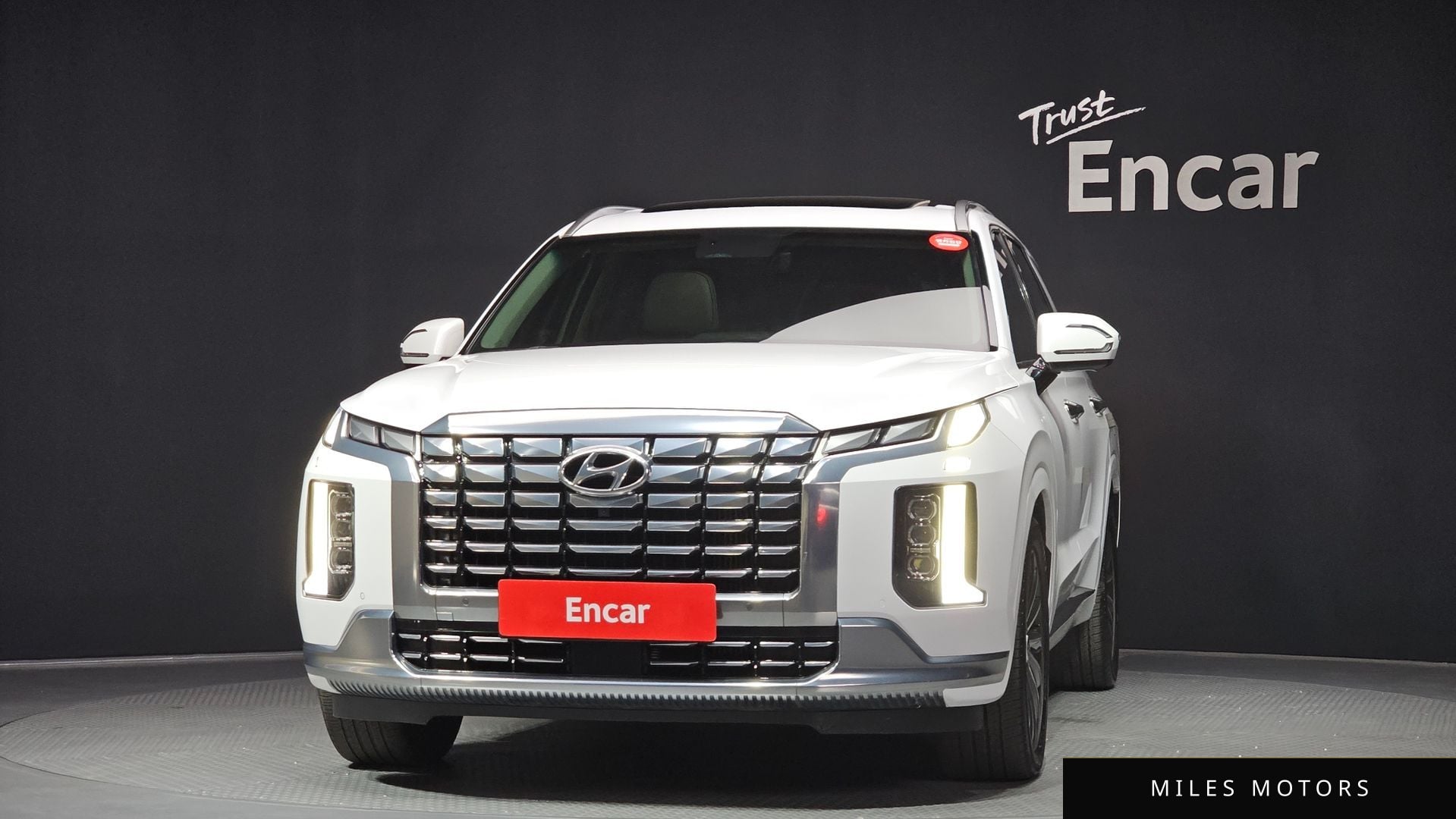 Hyundai Palisade 2023 — миниатюра 3