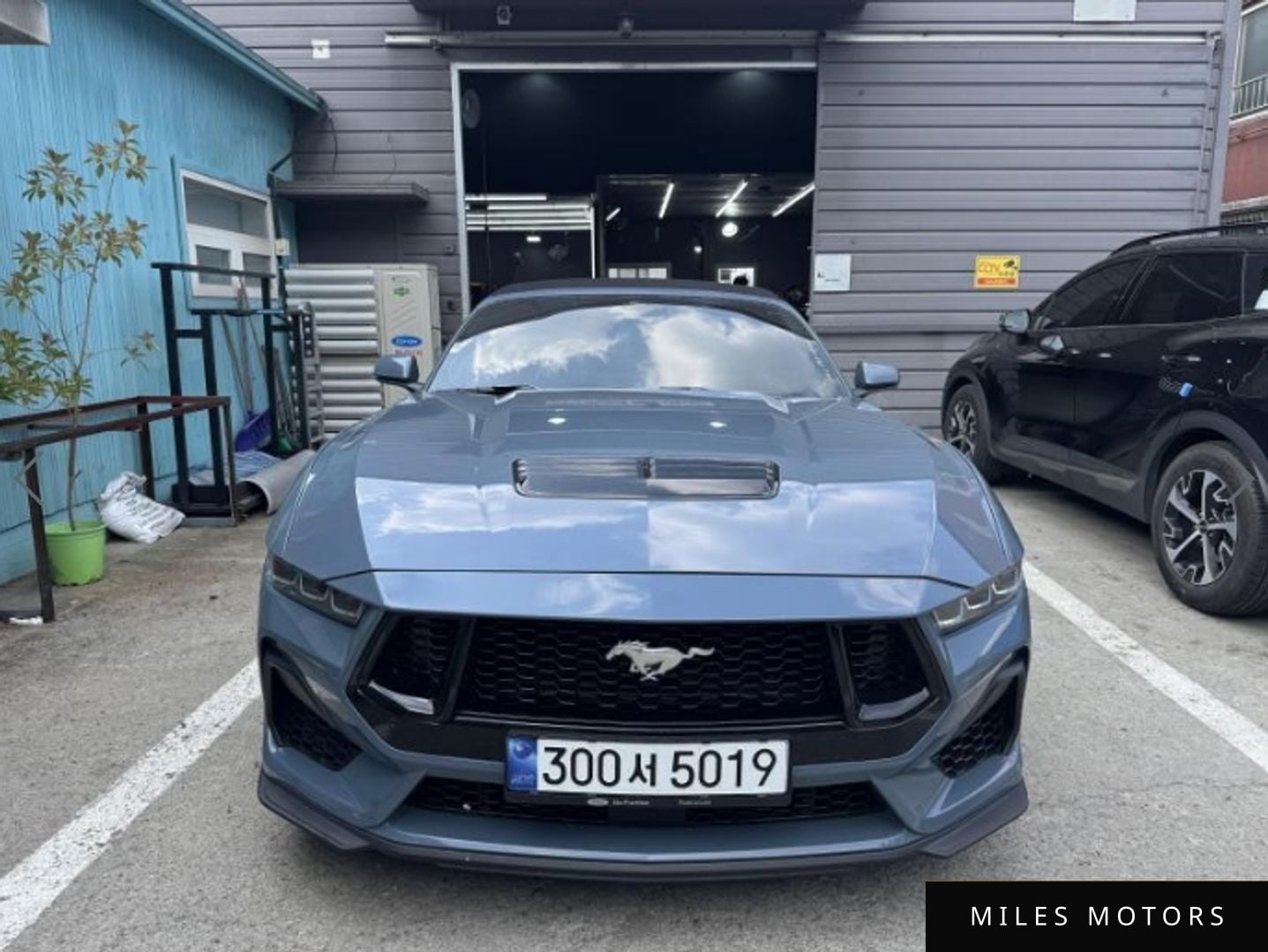 Ford Mustang 2024 — фото 1 из 12
