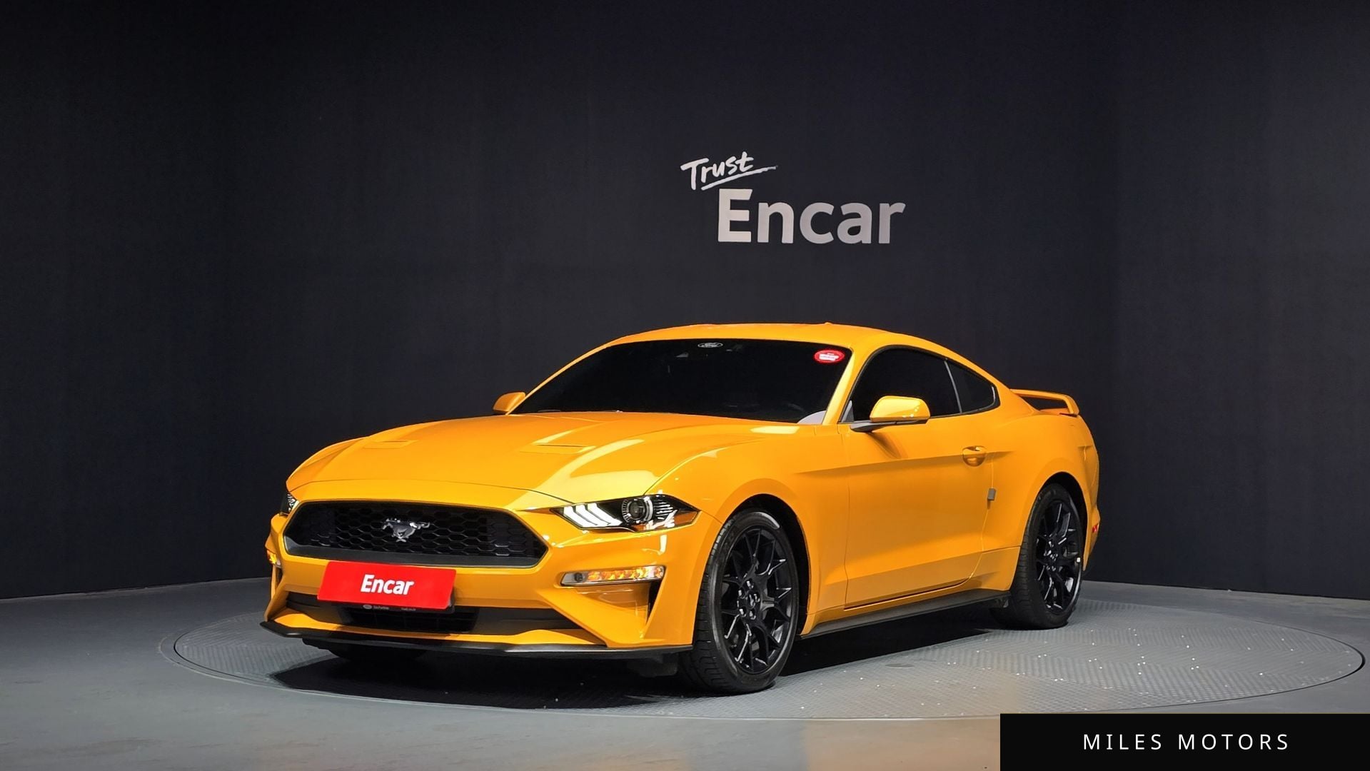 Ford Mustang 2022 — фото 1 из 12