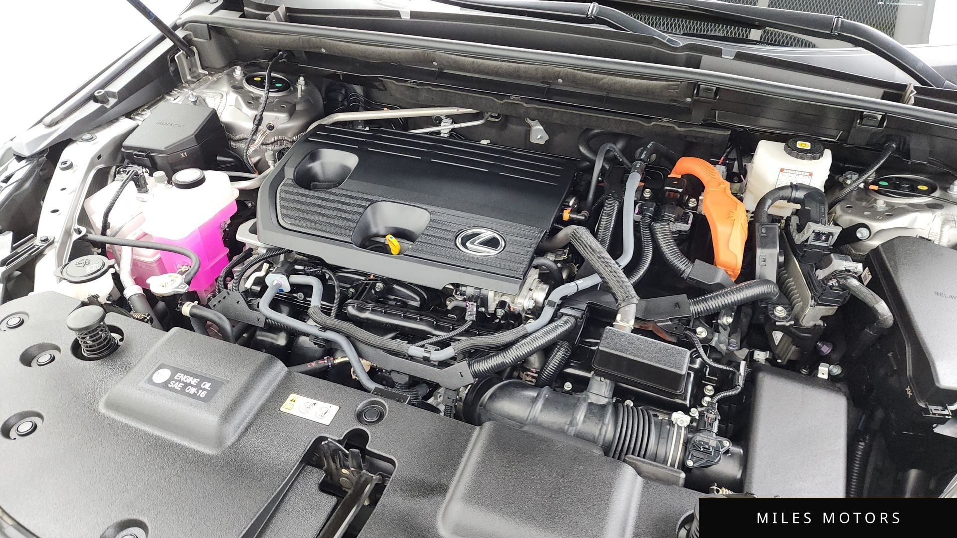 Лексус NX350h 2024 — миниатюра 5
