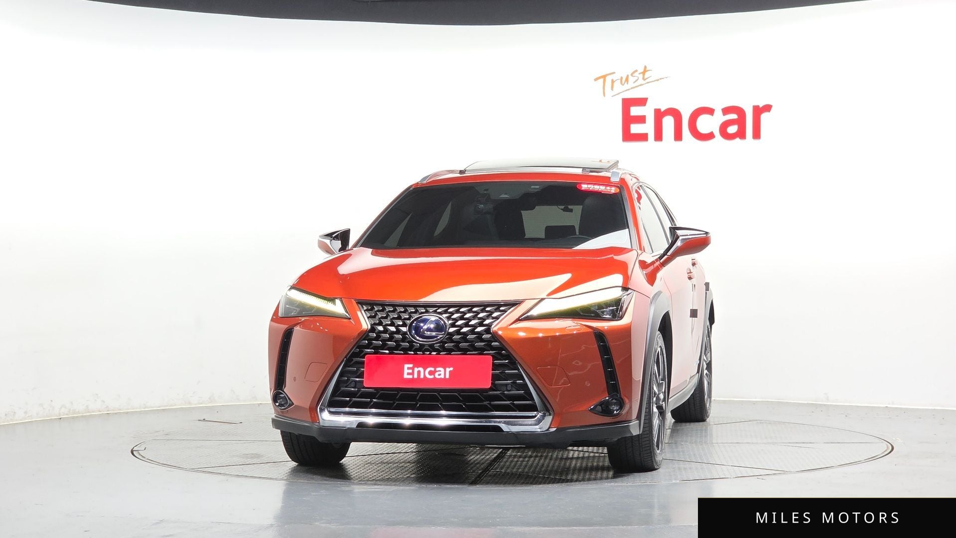 Лексус UX250h 2019 — миниатюра 2