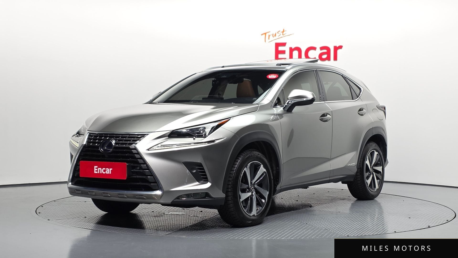 Лексус NX300h 2019 — фото 1 из 12