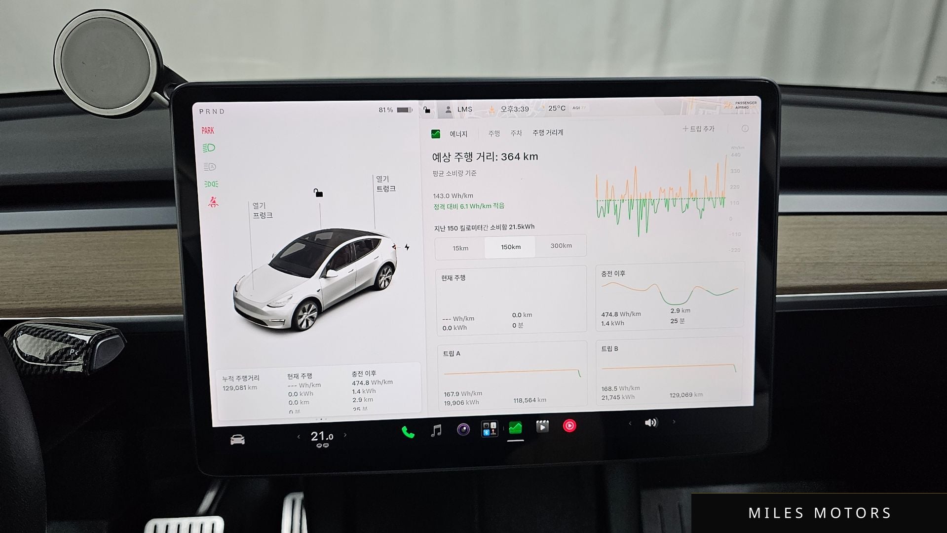 Tesla Model Y 2021 — миниатюра 11