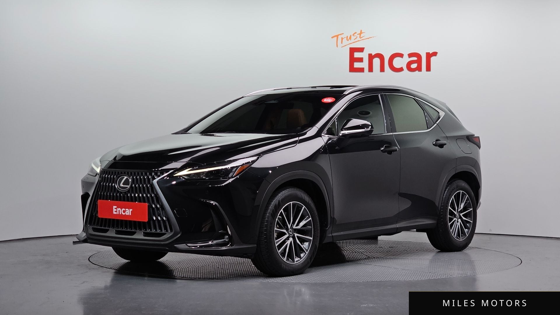 Лексус NX450h+ 2024 — фото 1 из 12