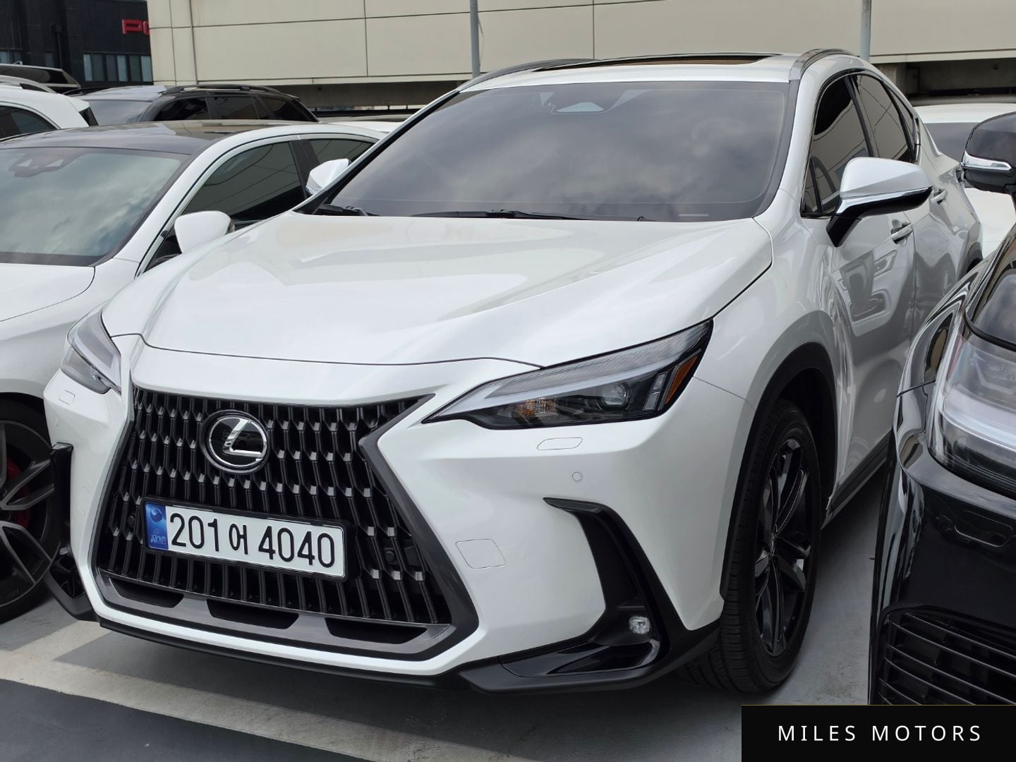 Лексус NX350h 2025 — миниатюра 2