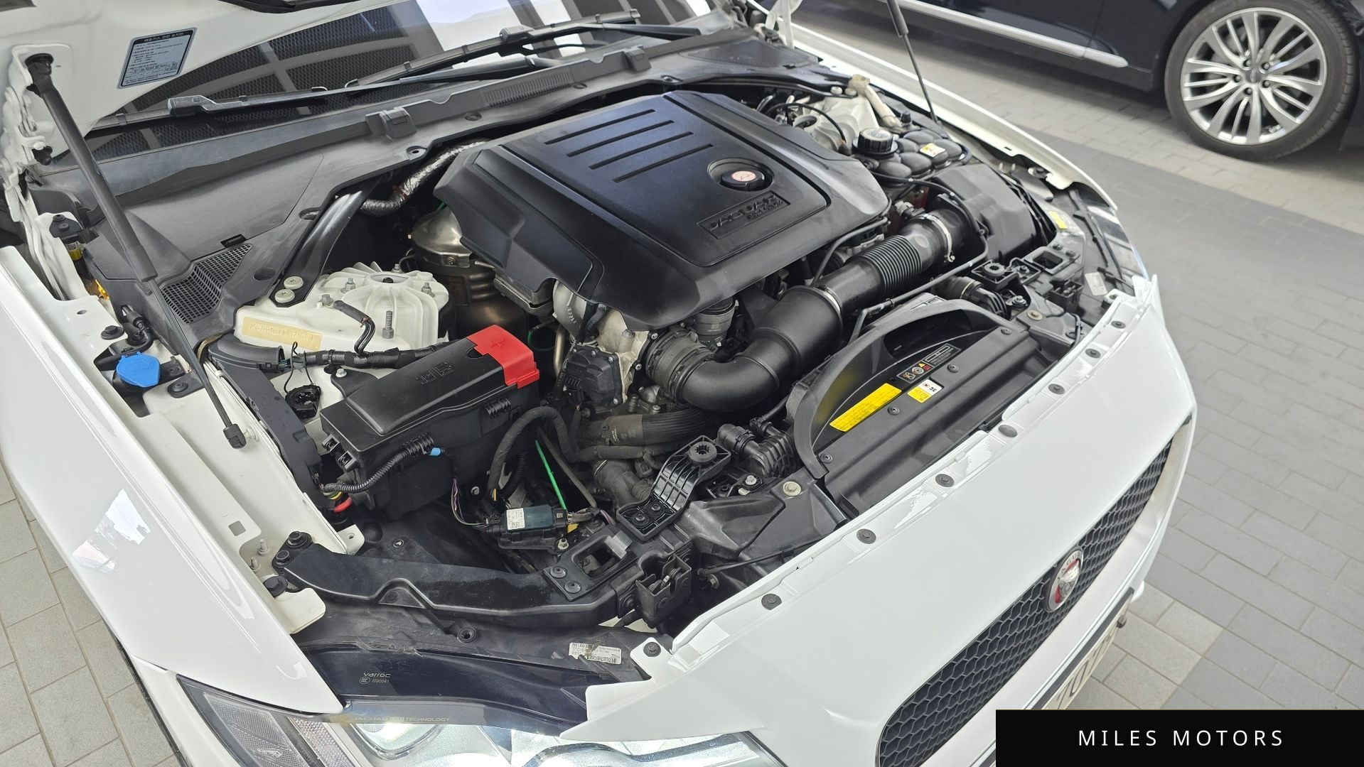 Jaguar XF (X260) 2019 — миниатюра 6