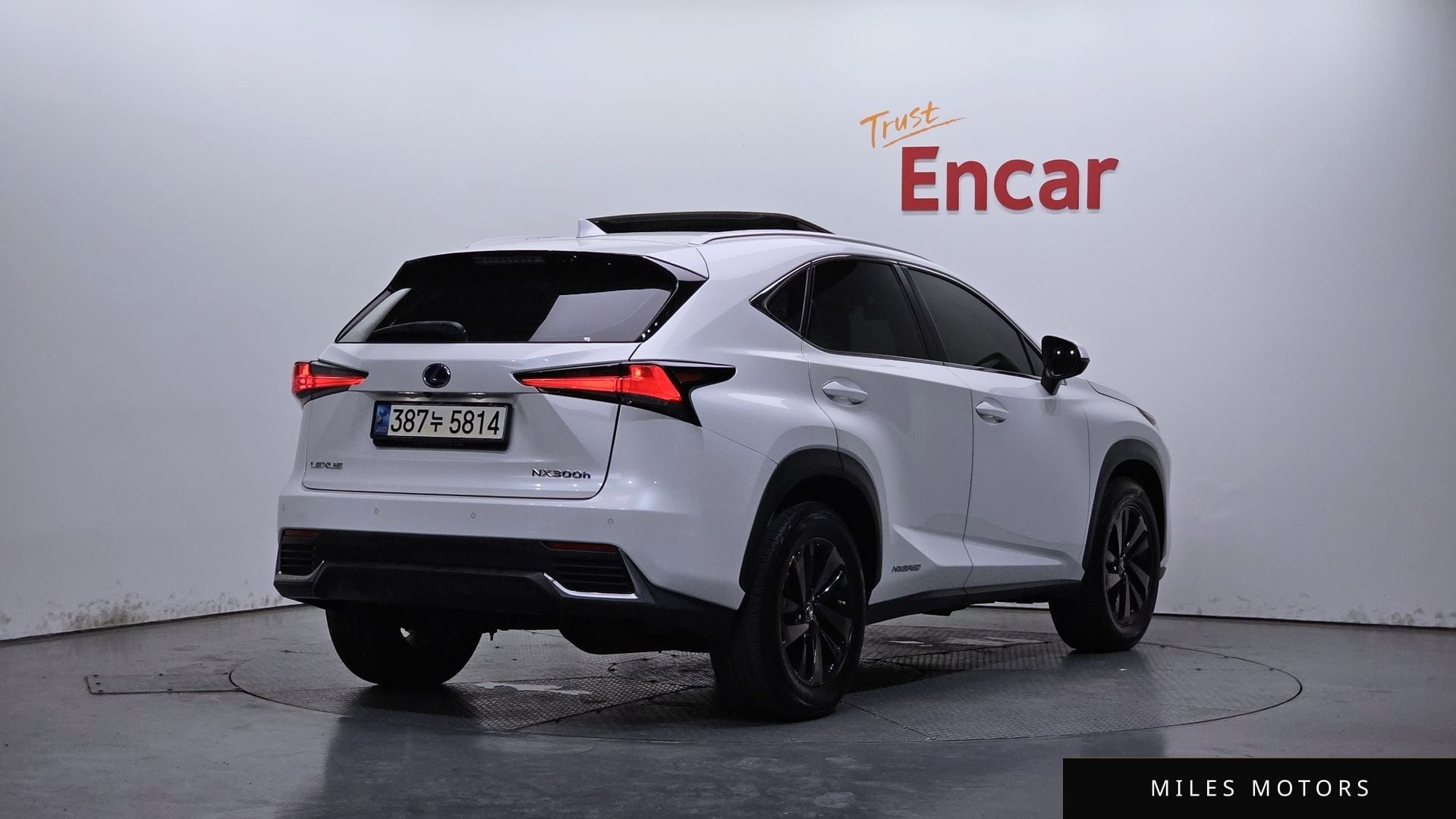 Лексус NX300h 2019 — миниатюра 2