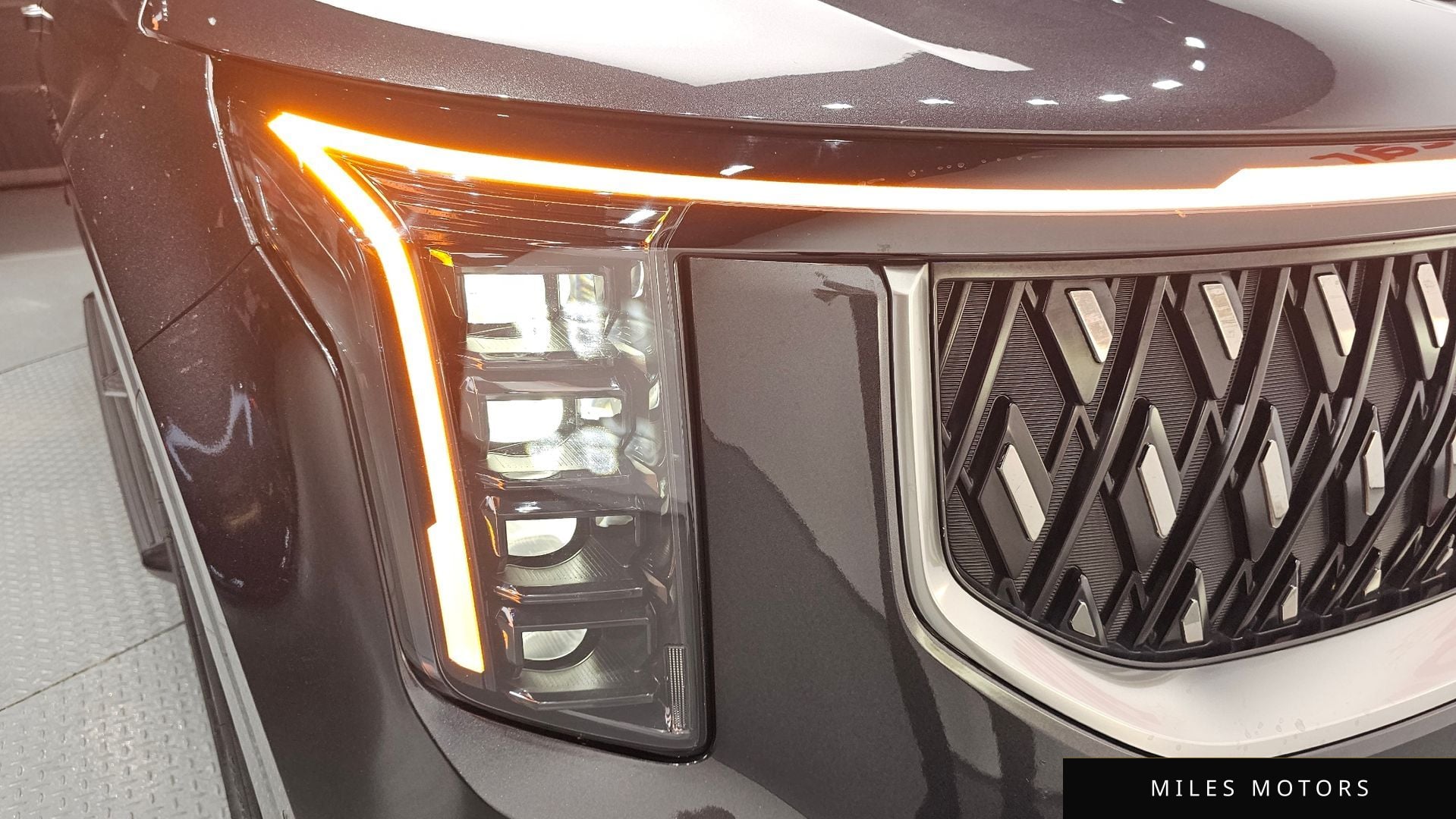 Kia Canival 2024 — миниатюра 7