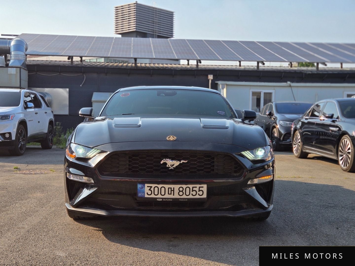 Ford Mustang 2023 — фото 1 из 12