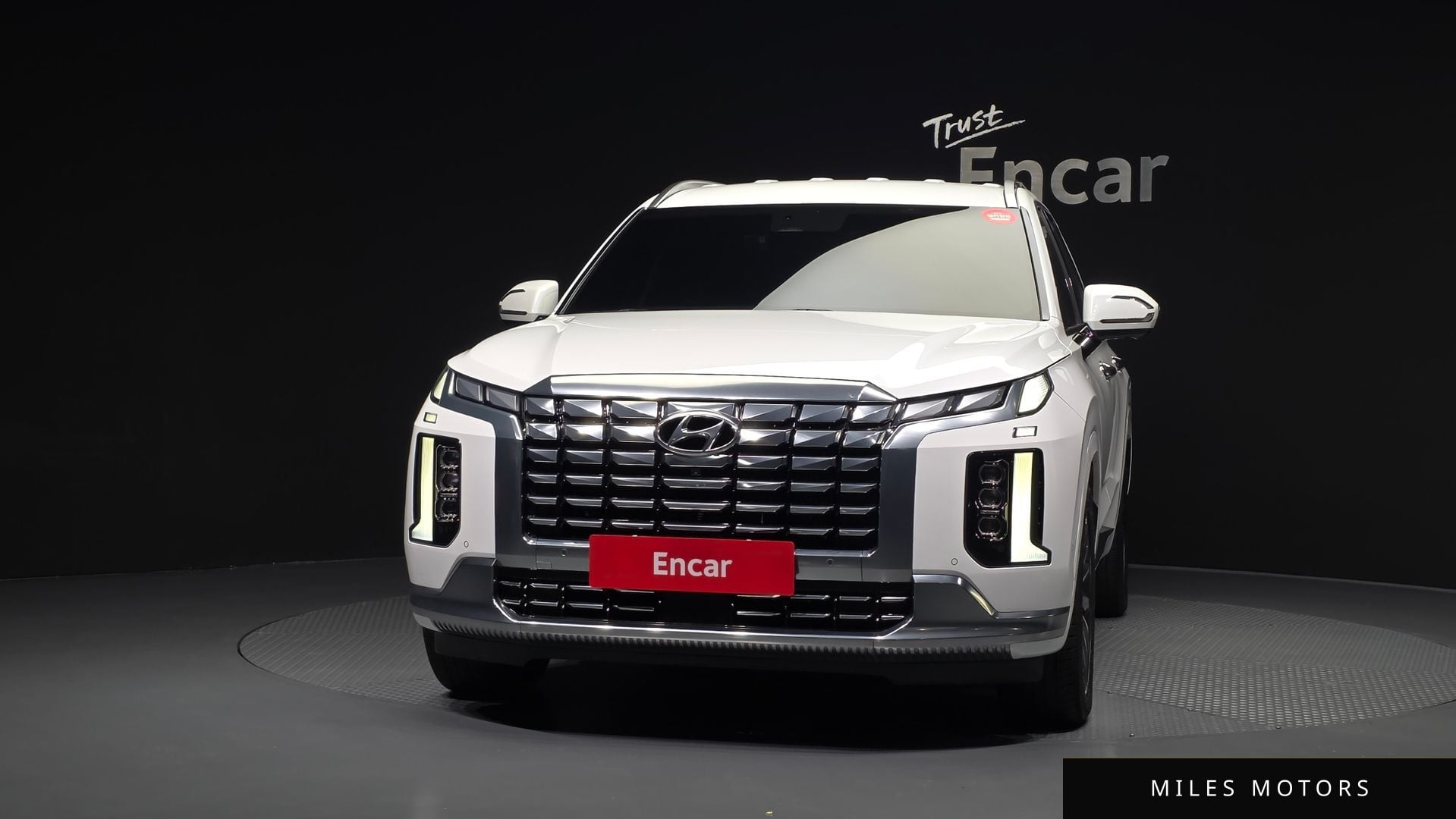 Hyundai Palisade 2024 — миниатюра 3