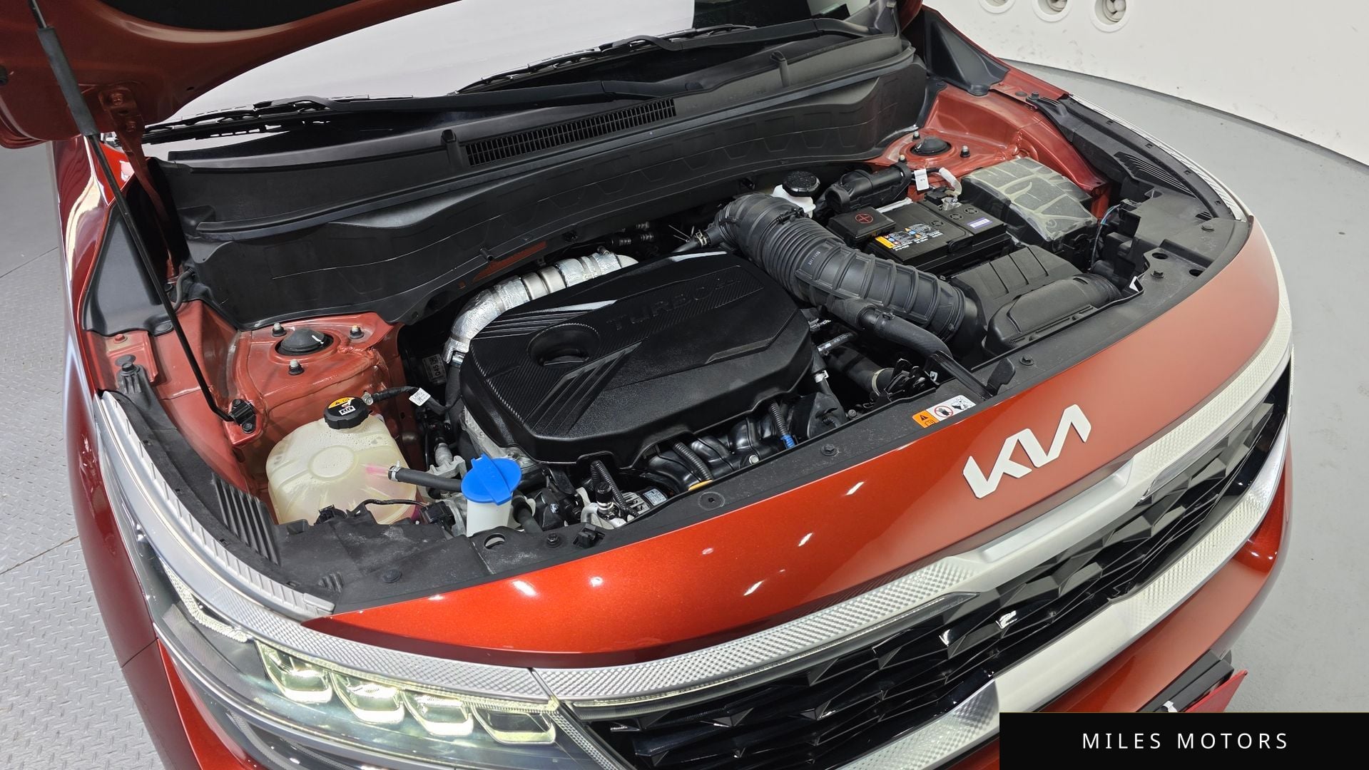 Kia Seltos 2023 — миниатюра 6