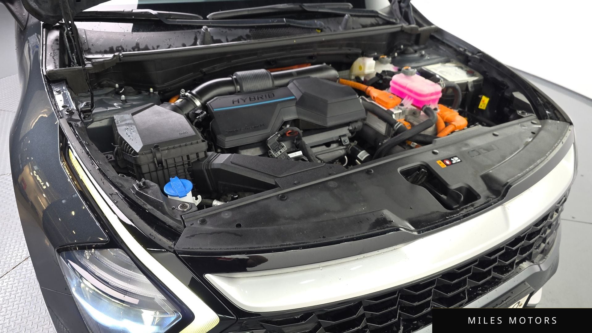 Kia Sportage 2023 — миниатюра 6