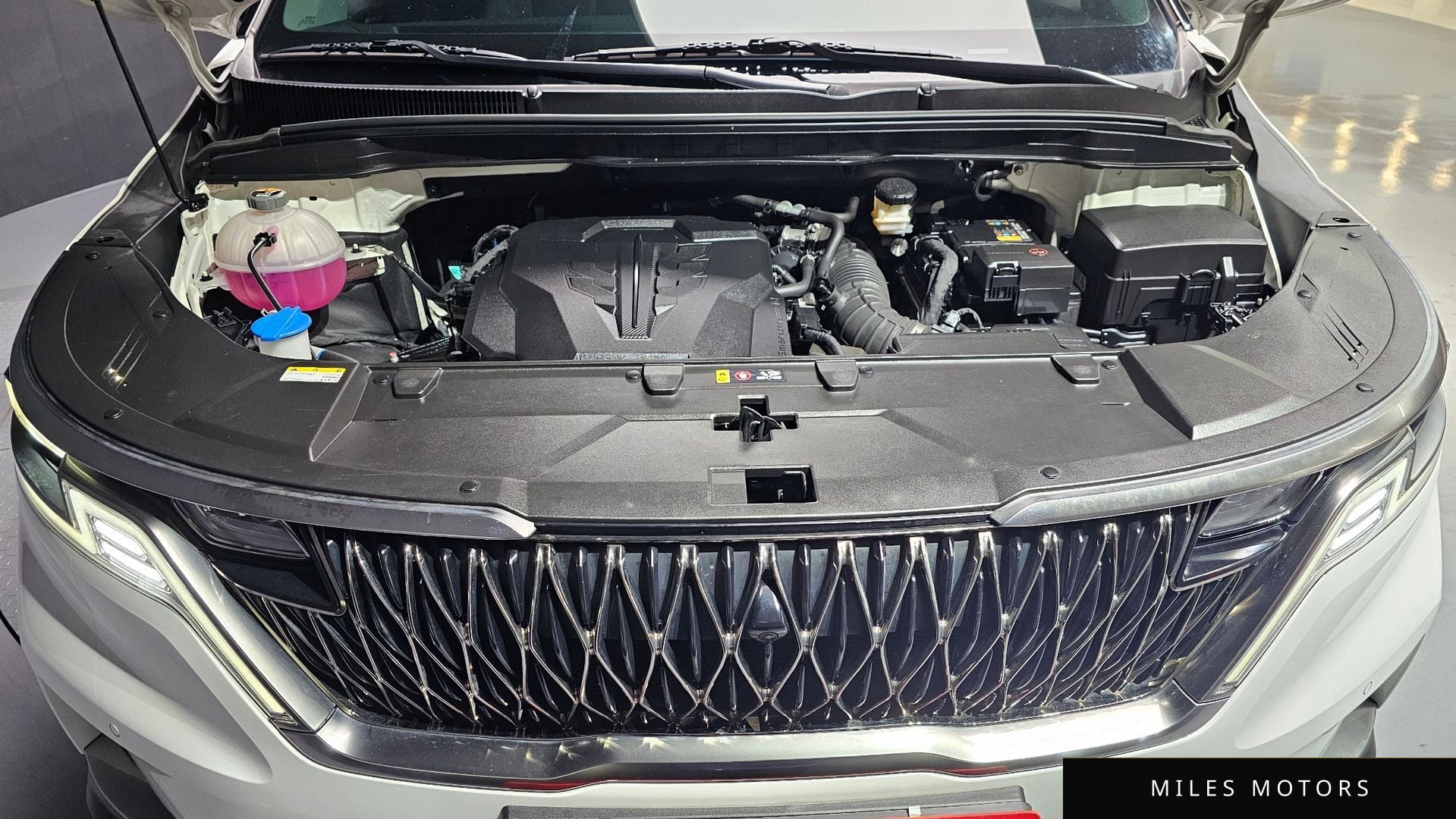 Kia Carnival 2023 — миниатюра 6