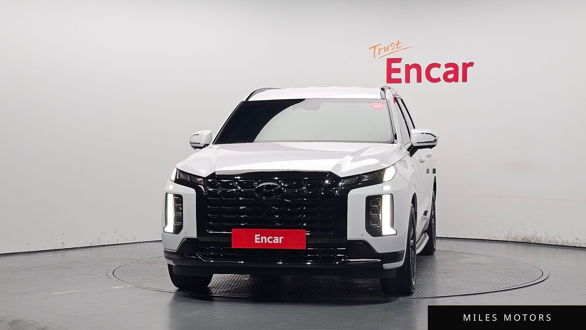 Hyundai Palisade 2024 — миниатюра 3