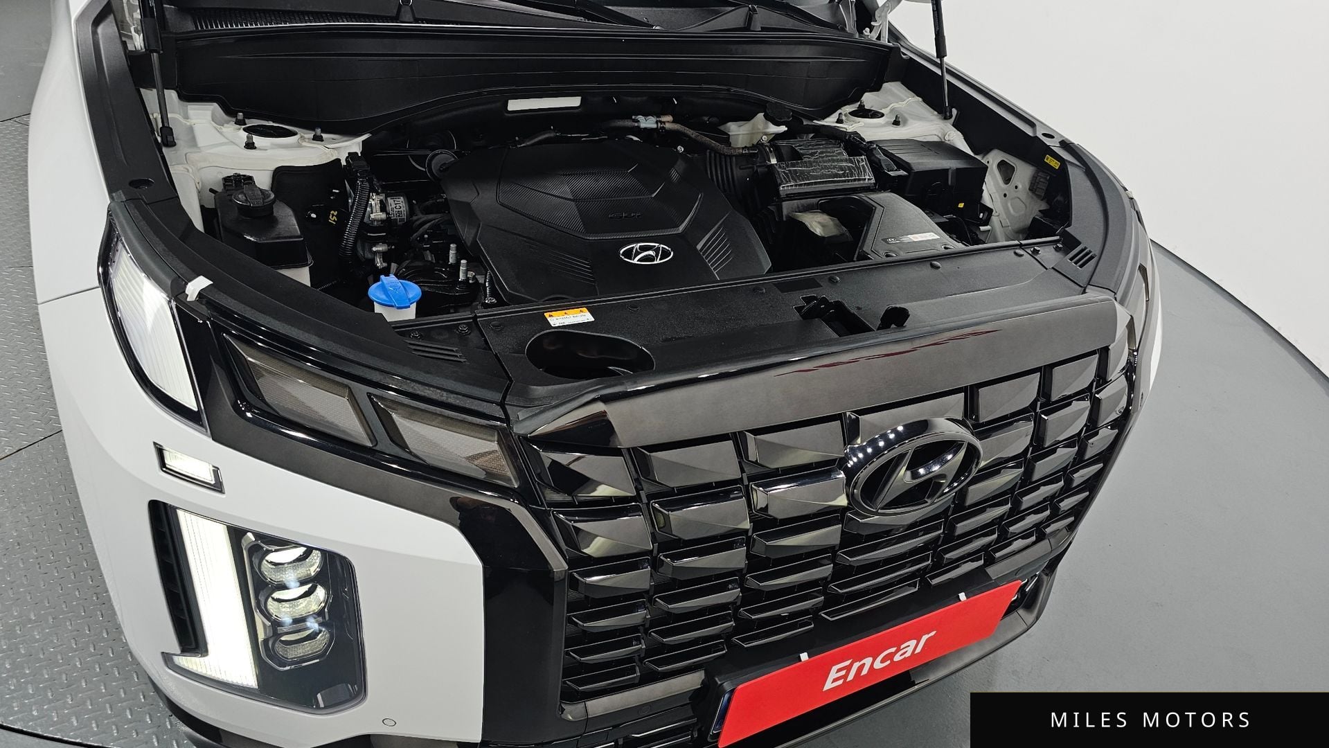 Hyundai Palisade 2024 — миниатюра 6