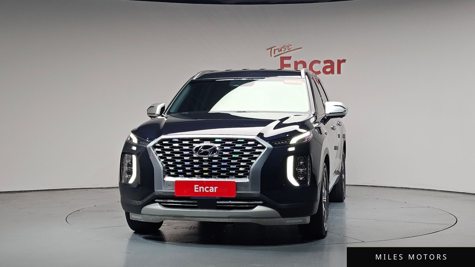 Hyundai Palisade 2020 — миниатюра 2