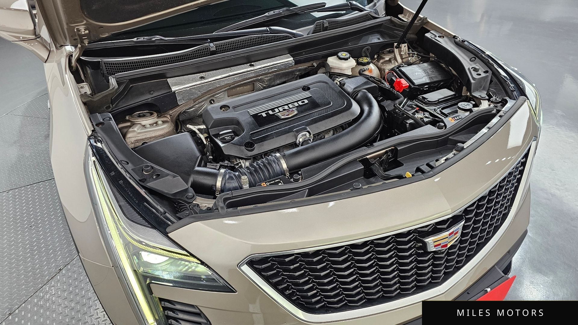 Cadillac XT4 2023 — миниатюра 6
