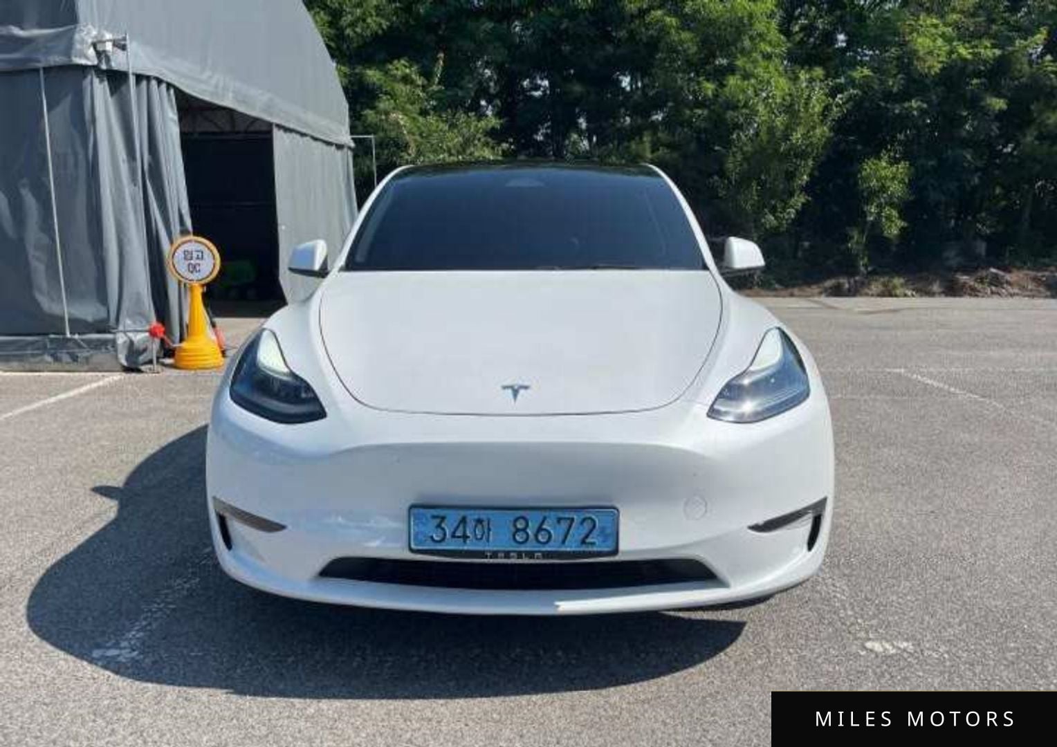 Tesla Model Y 2023 — фото 1 из 12