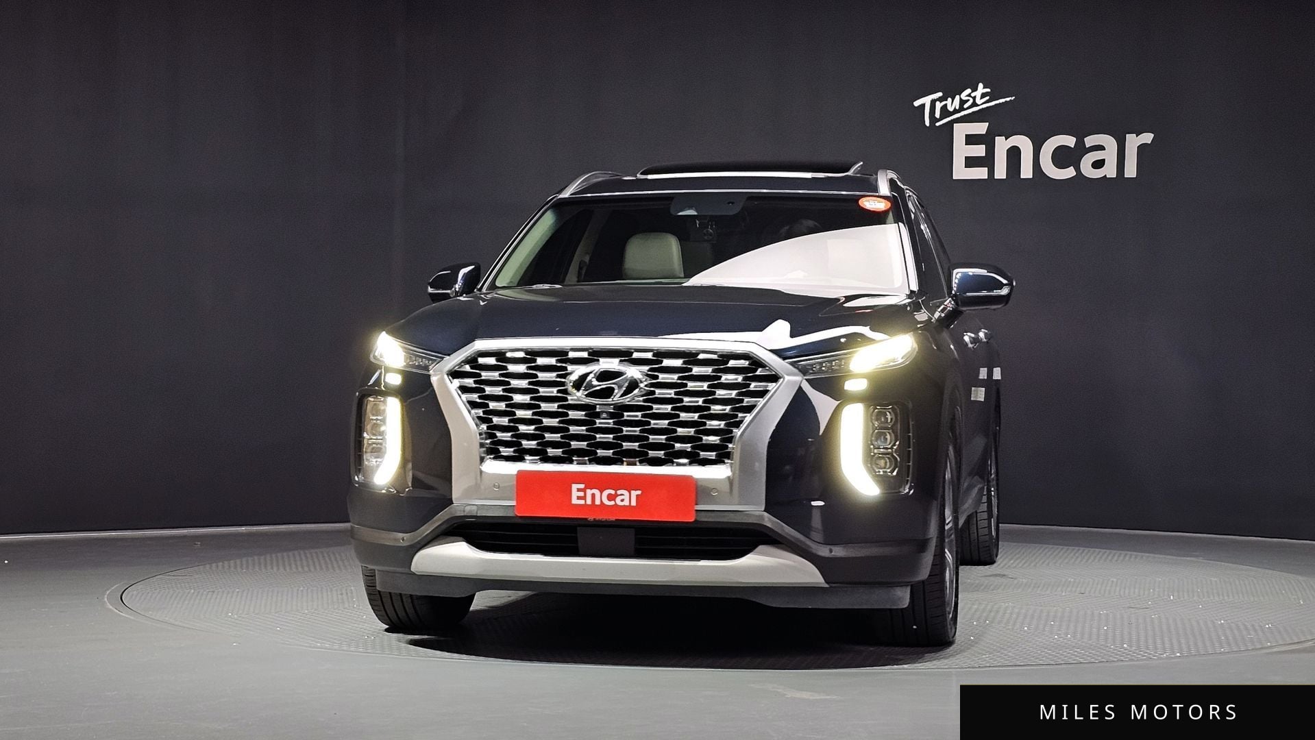 Hyundai Palisade 2019 — миниатюра 3