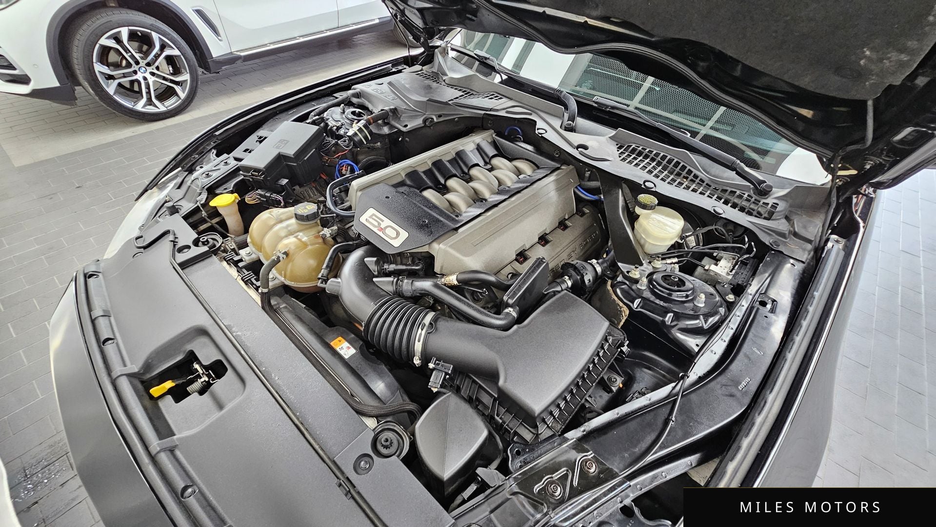 Ford Mustang 2016 — миниатюра 6
