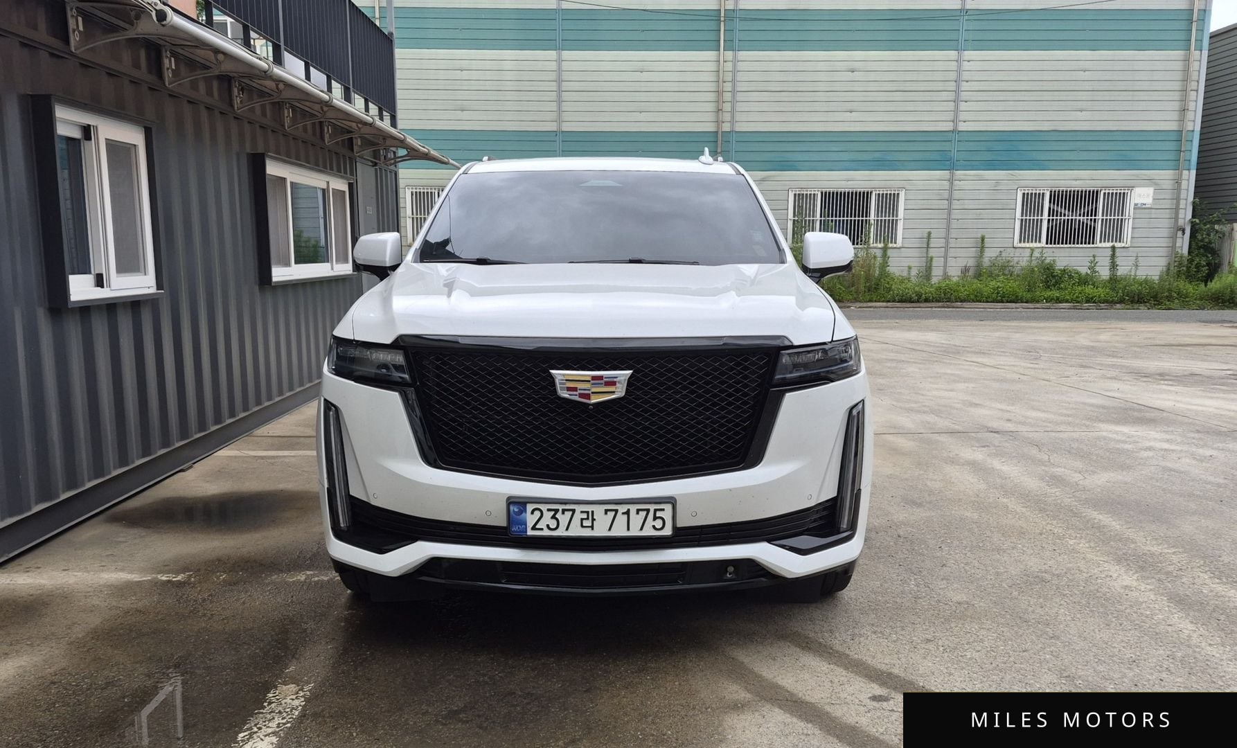 Cadillac Escalade 2023 — фото 1 из 12