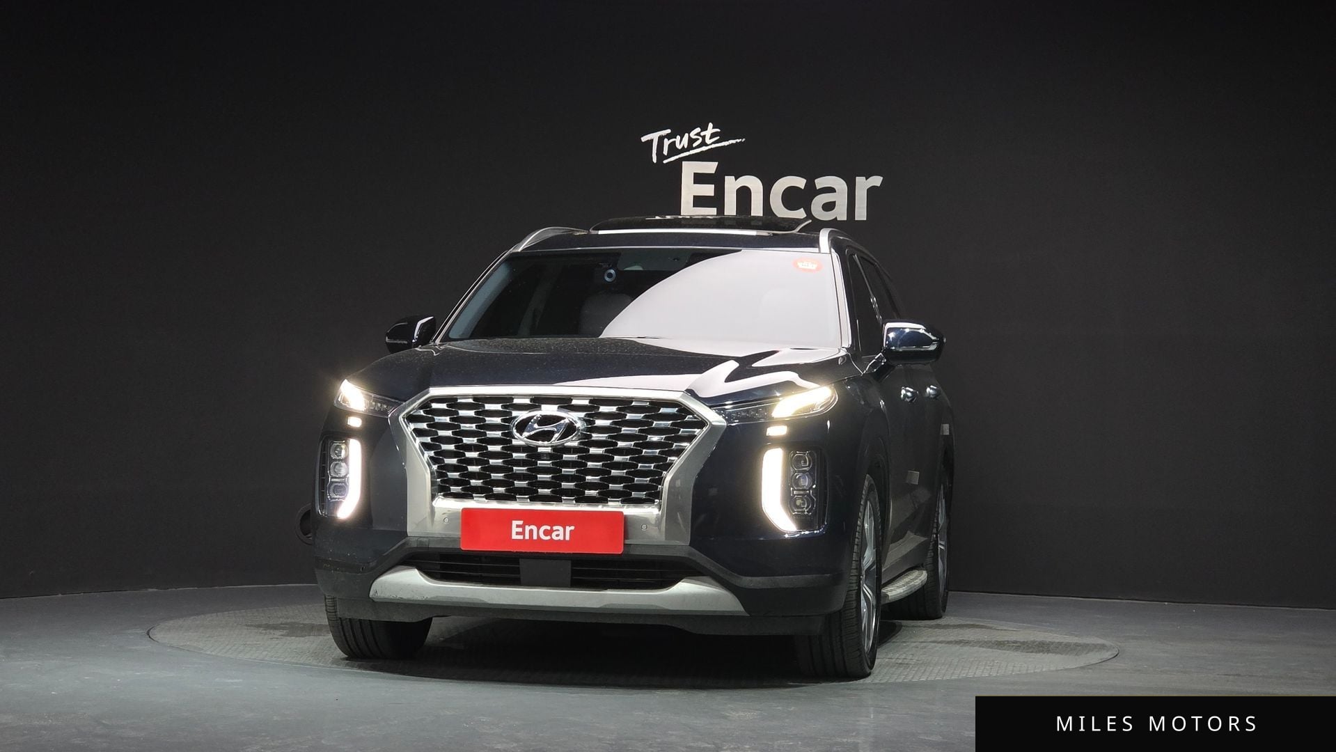 Hyundai Palisade 2019 — миниатюра 3