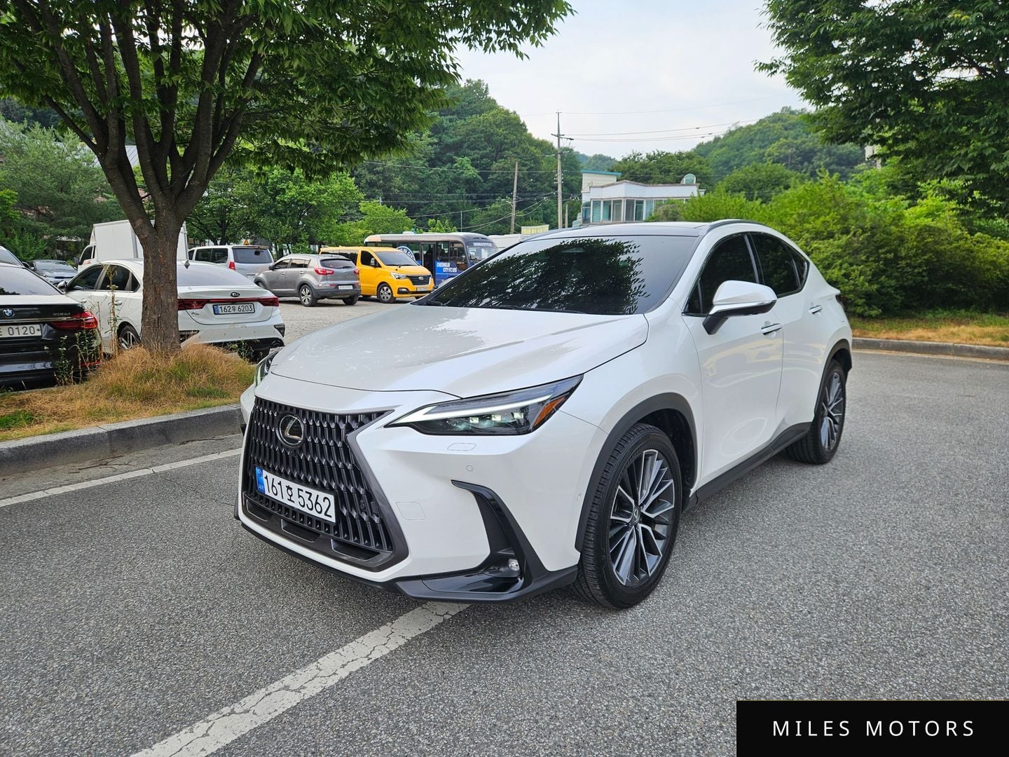 Лексус NX350h 2024 — фото 1 из 12