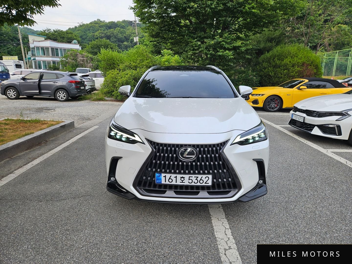Лексус NX350h 2024 — миниатюра 2