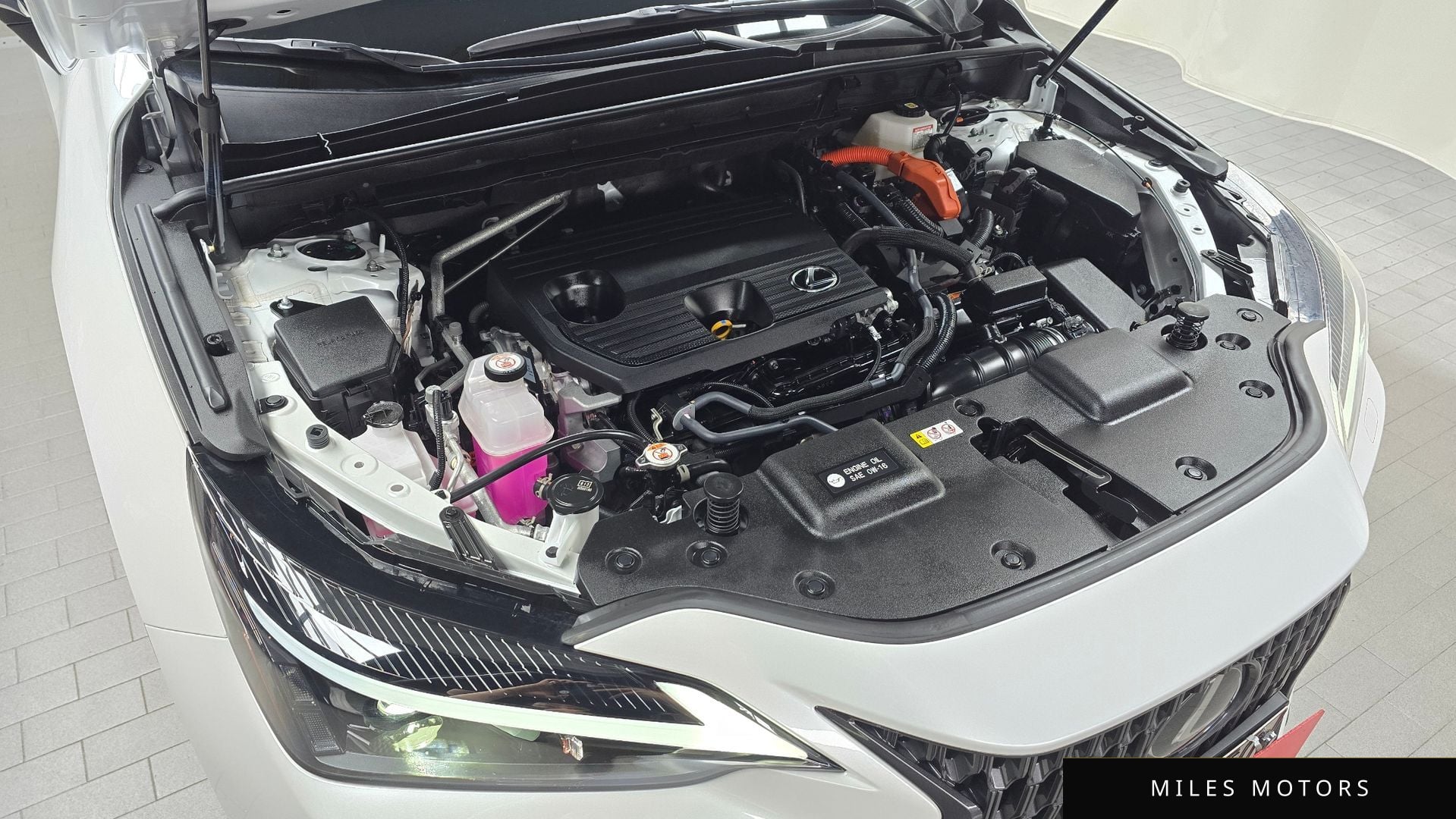 Лексус NX350h 2023 — миниатюра 6