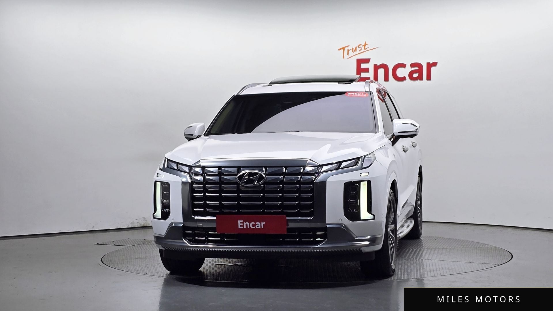 Hyundai Palisade 2024 — миниатюра 3