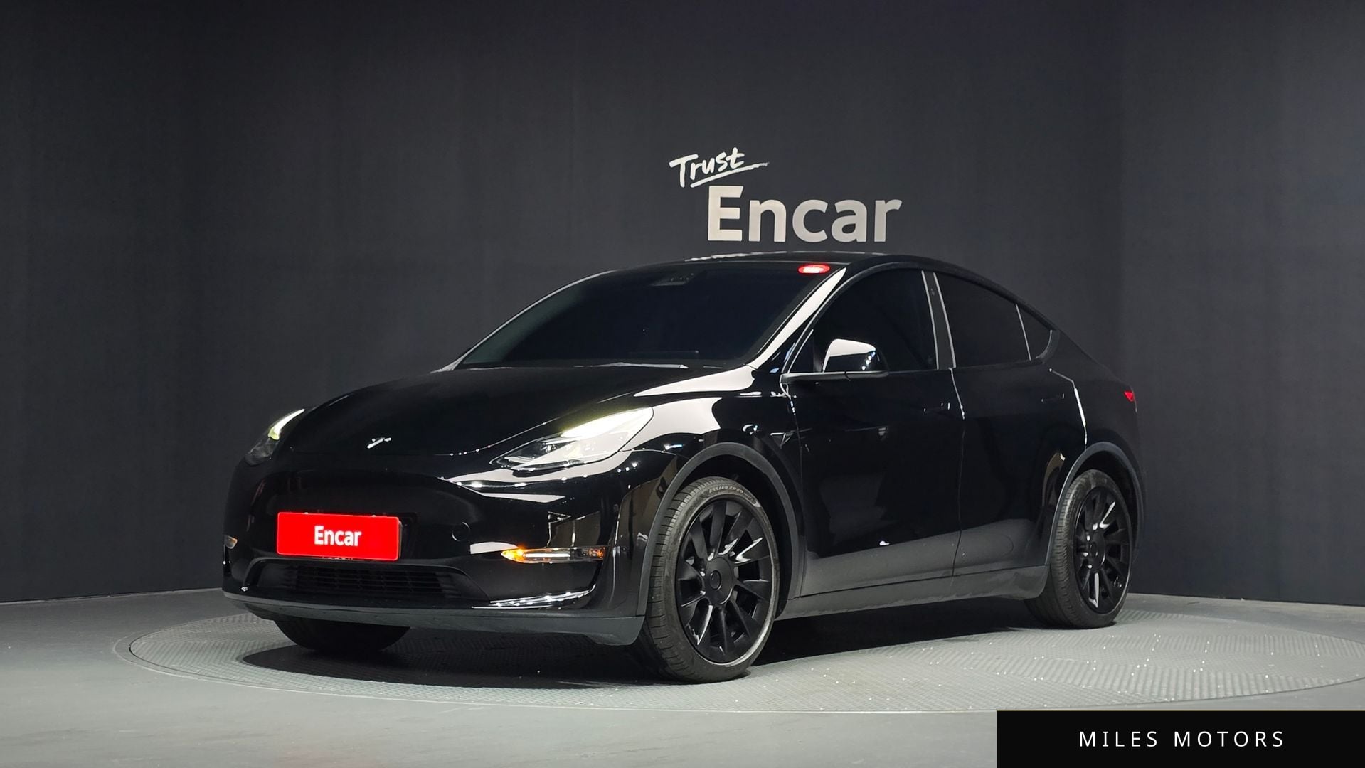 Tesla Model Y 2023 — фото 1 из 12