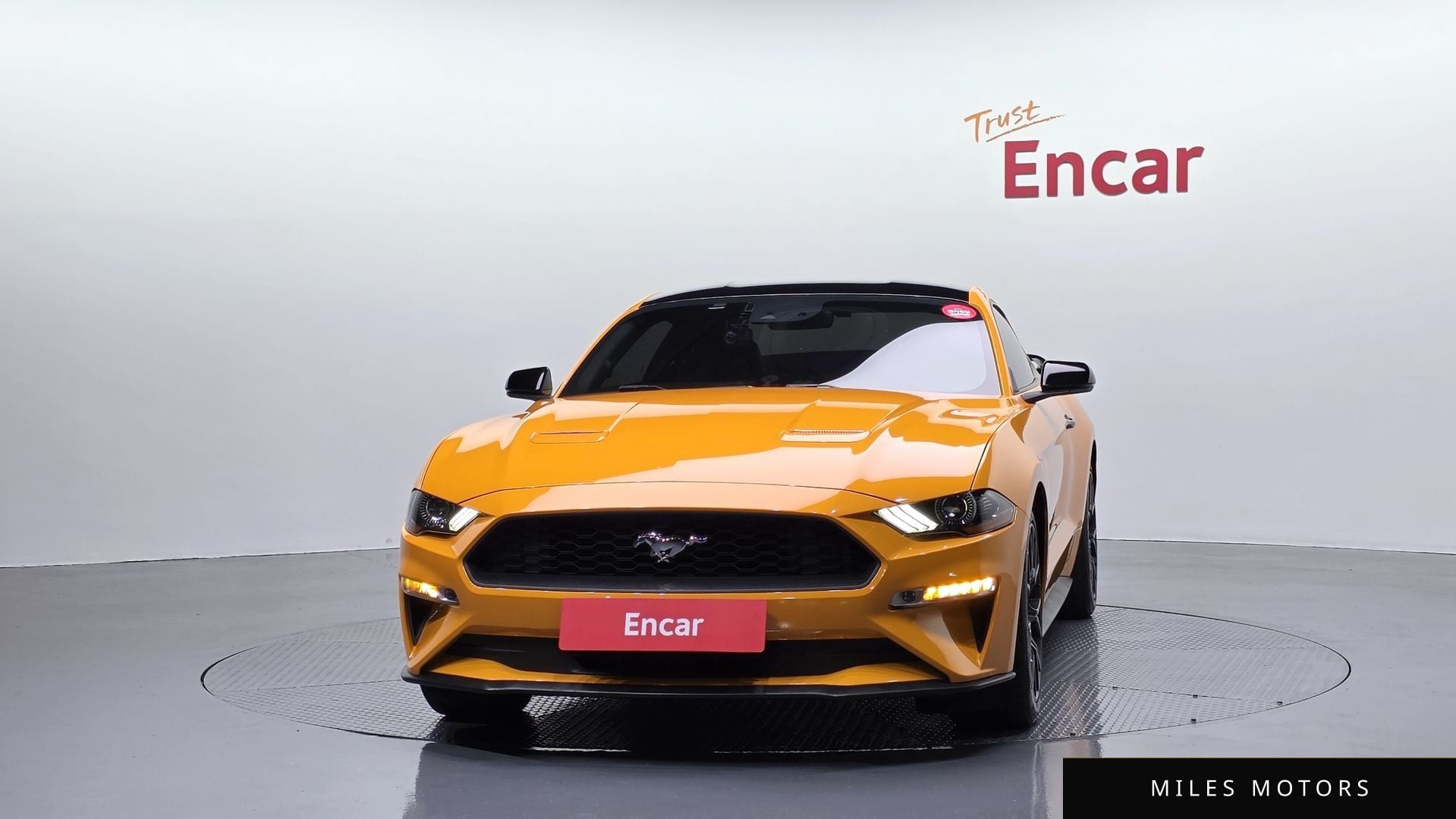Ford Mustang 2019 — миниатюра 3