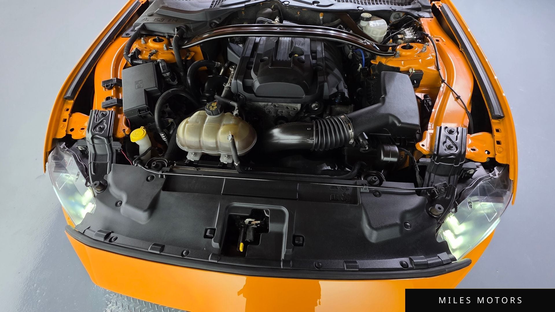 Ford Mustang 2019 — миниатюра 6