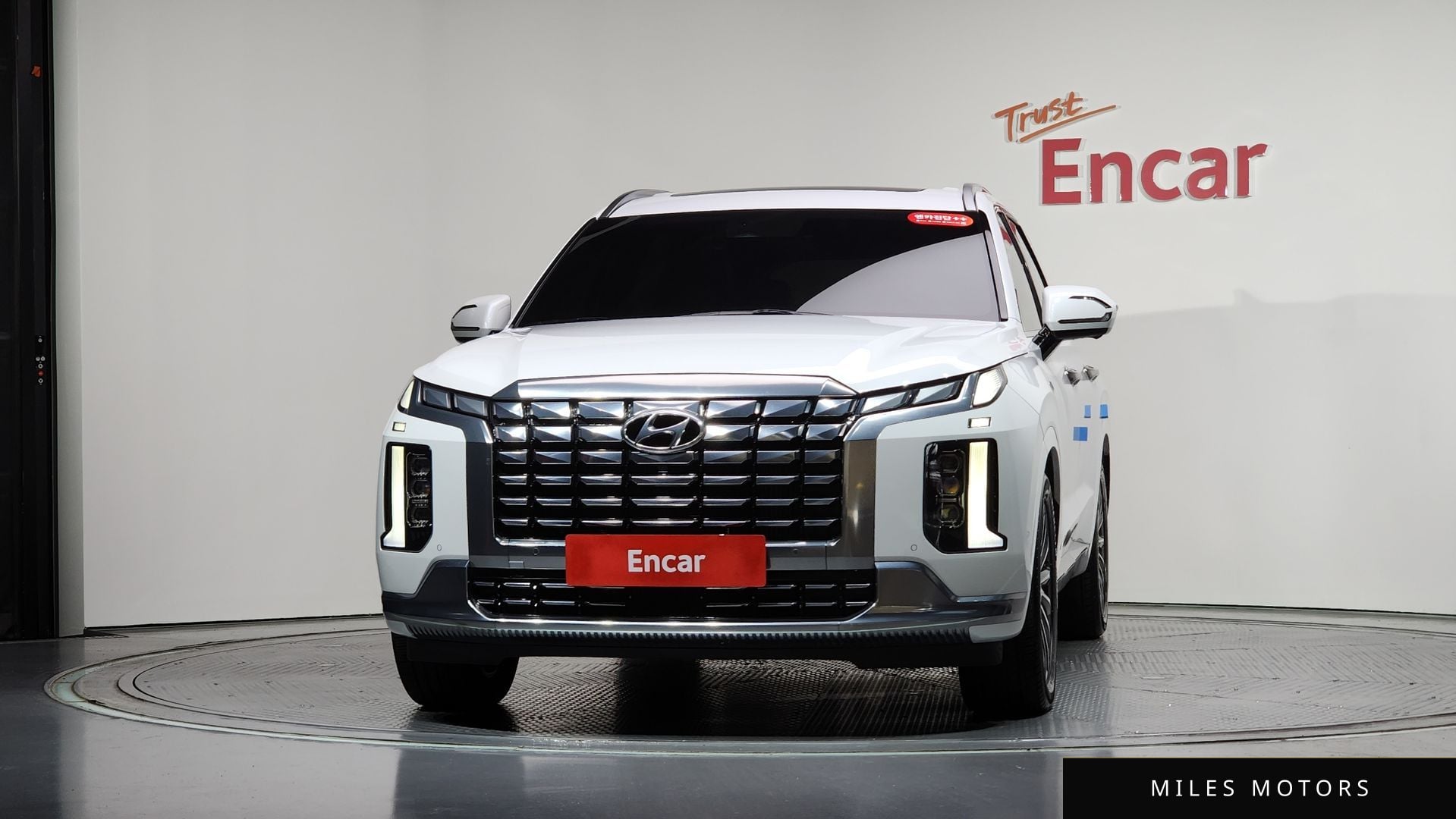 Hyundai Palisade 2024 — миниатюра 2