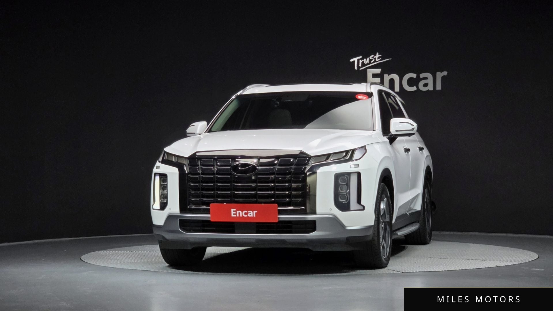Hyundai Palisade 2023 — миниатюра 3