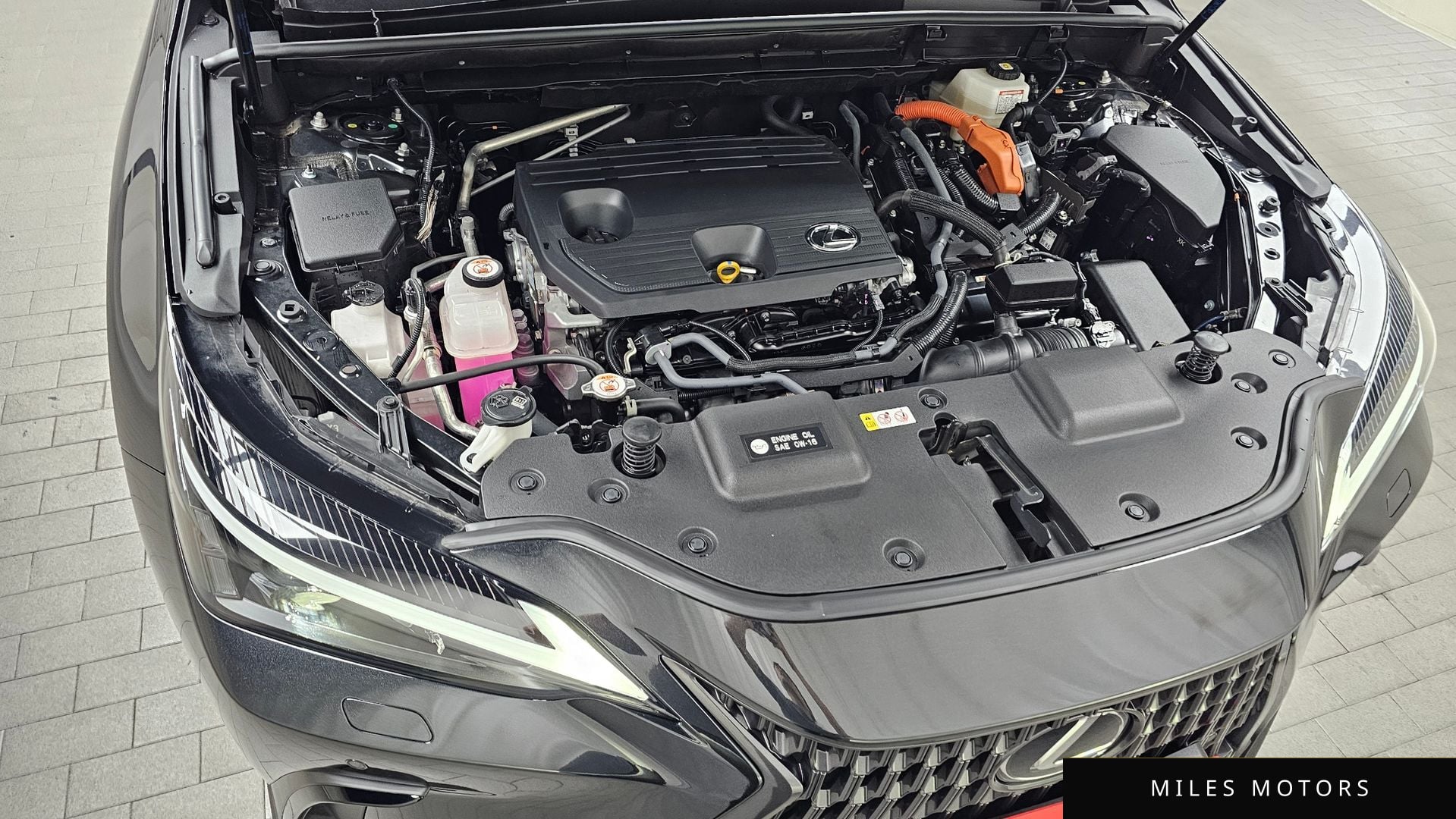 Лексус NX350h 2024 — миниатюра 6