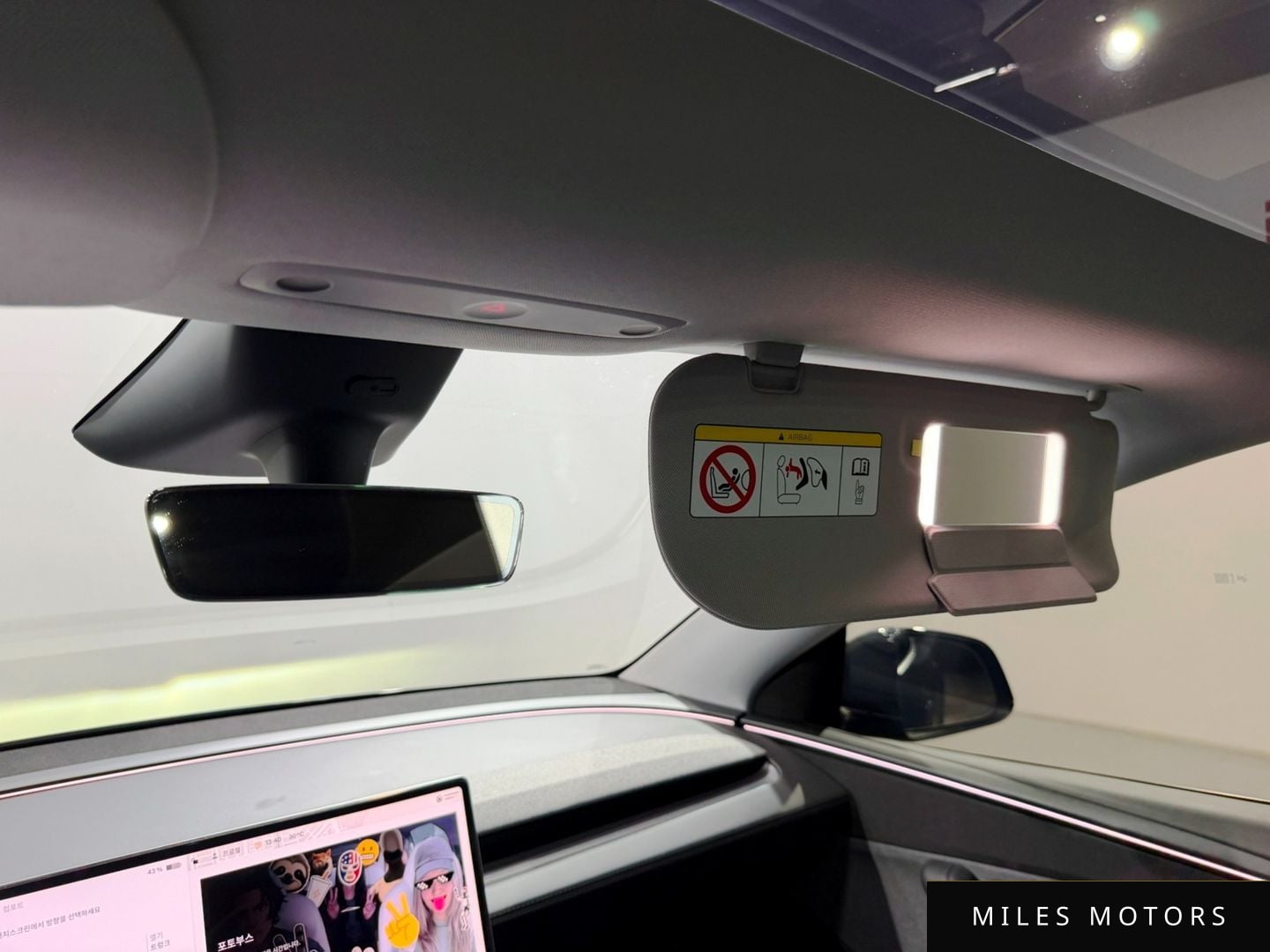 Tesla Model Y 2025 — миниатюра 12