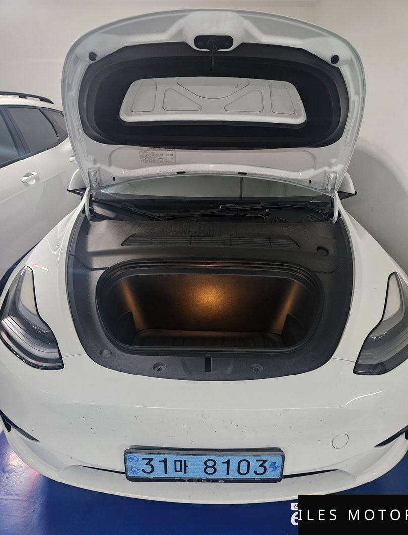 Tesla Model Y 2024 — миниатюра 6