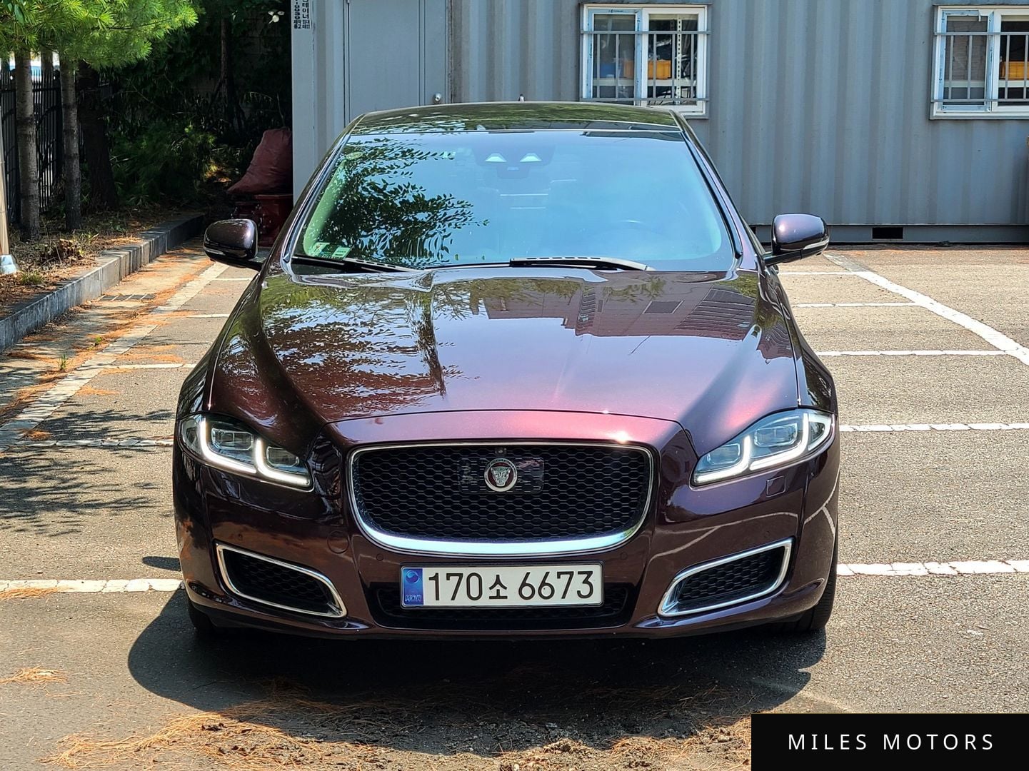 Jaguar All New XJ 2019 — миниатюра 5